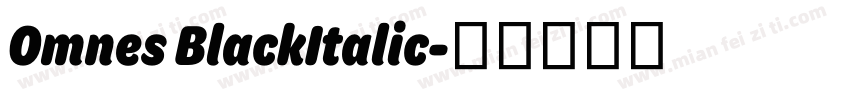 Omnes BlackItalic字体转换